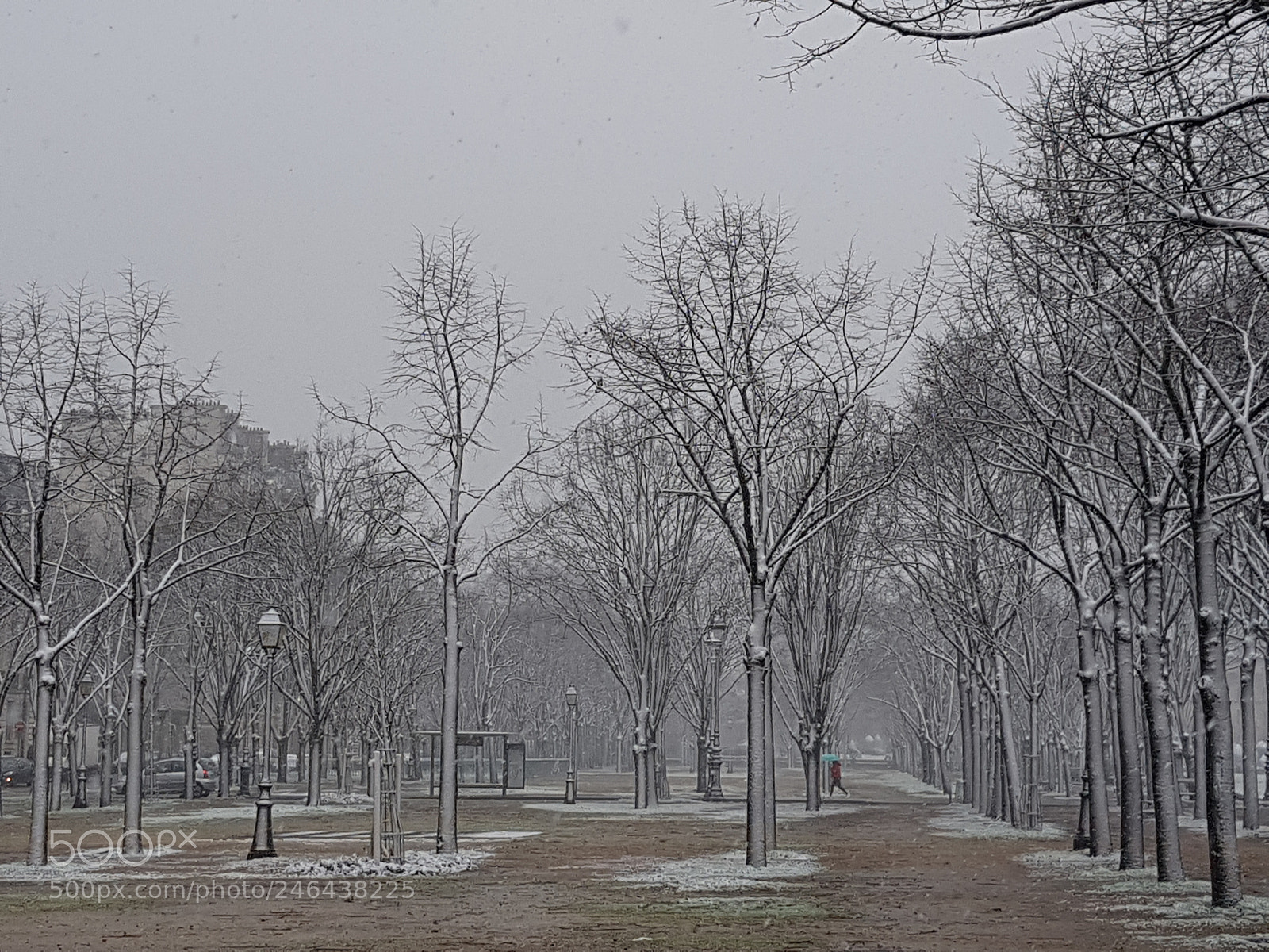 Samsung Galaxy S8+ sample photo. Snow photography