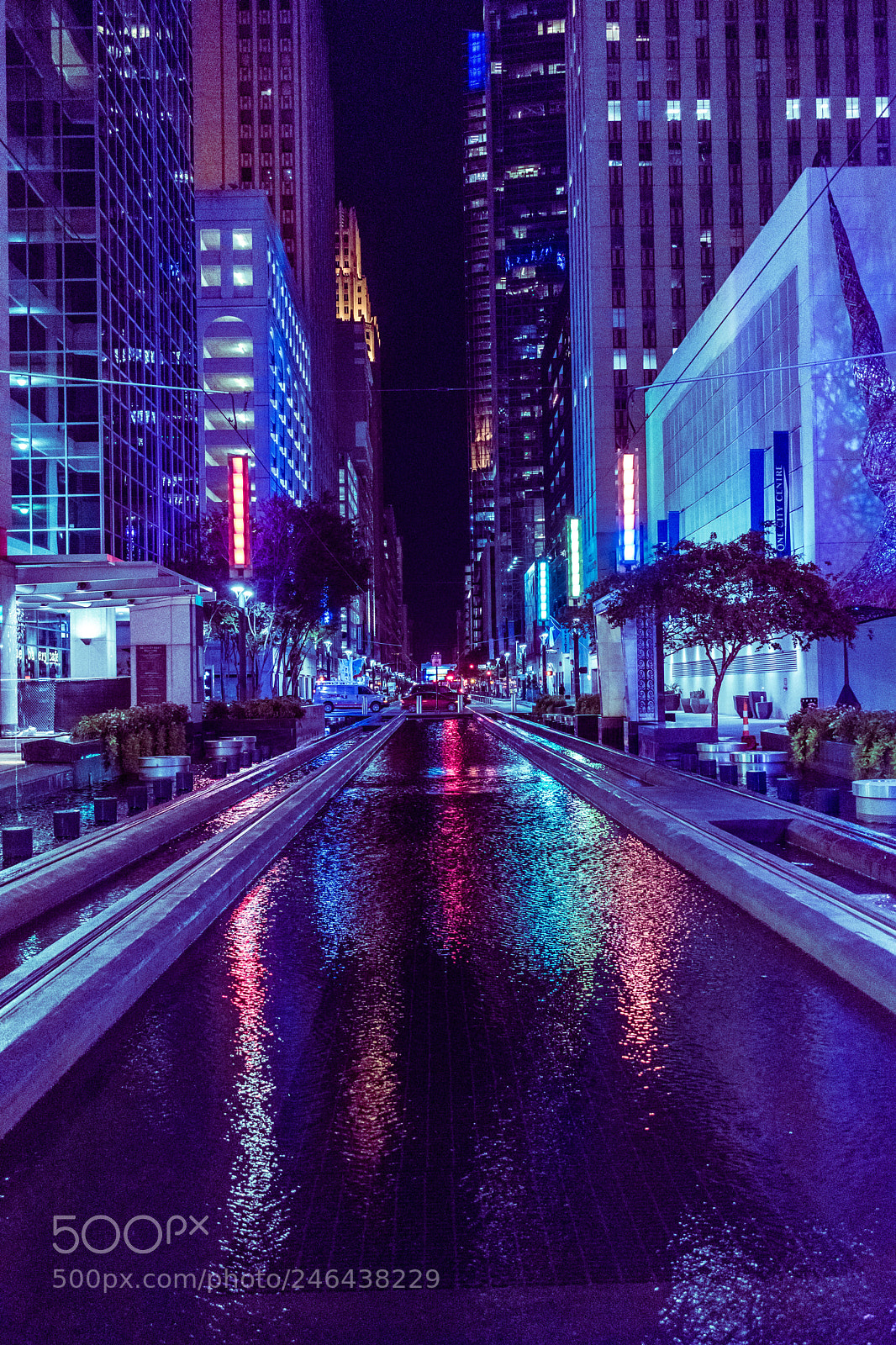 Nikon D5500 sample photo. Split toned houston photography