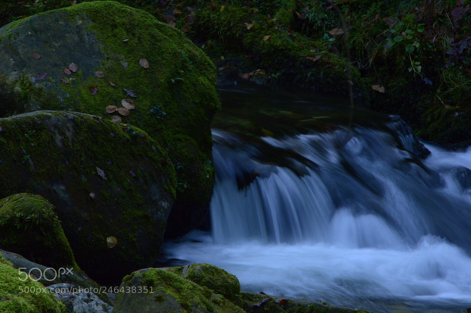 Nikon D3200 sample photo. Agua transparente (transparent water ) . photography