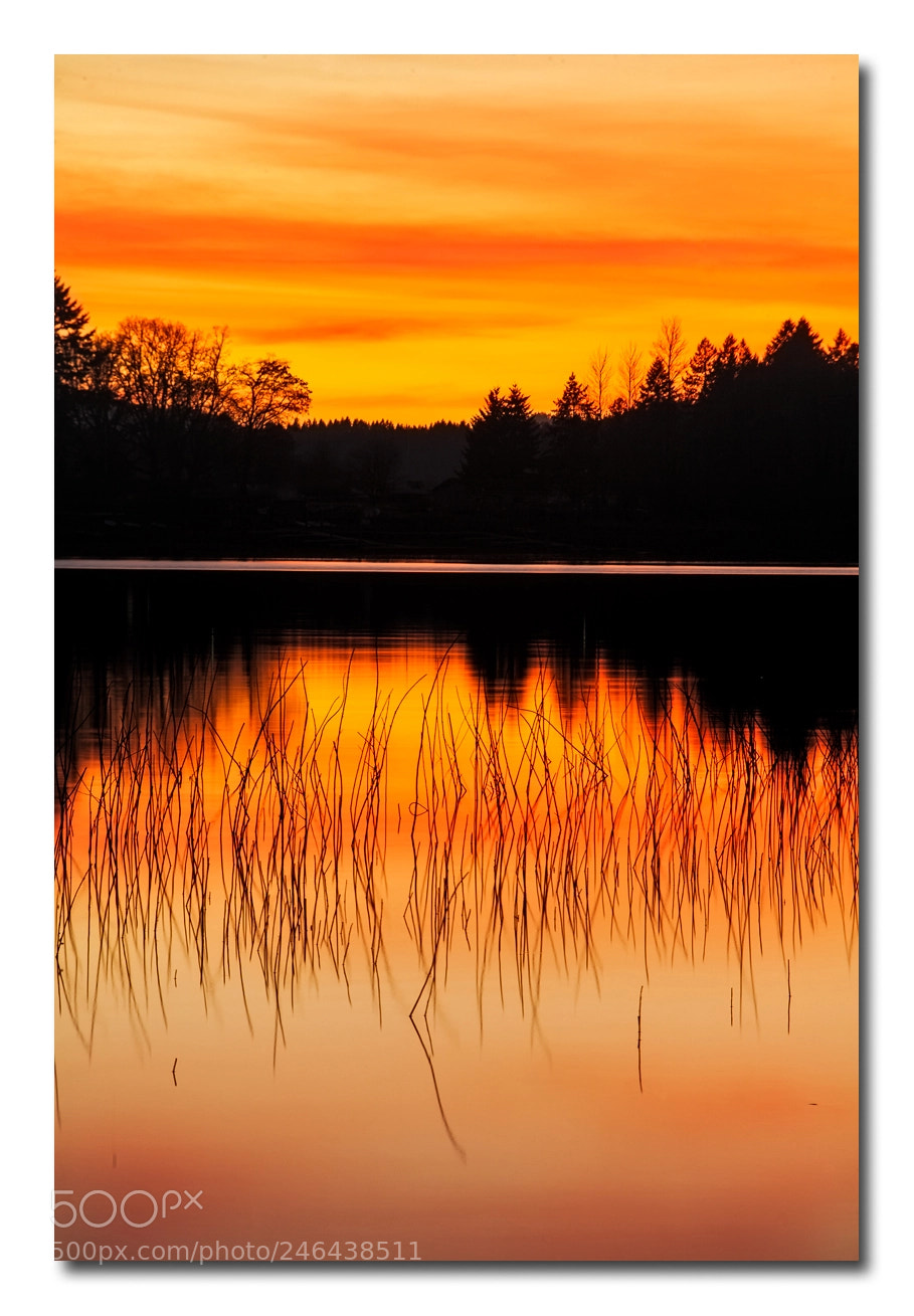 Canon EOS 5D sample photo. Silhouette photography