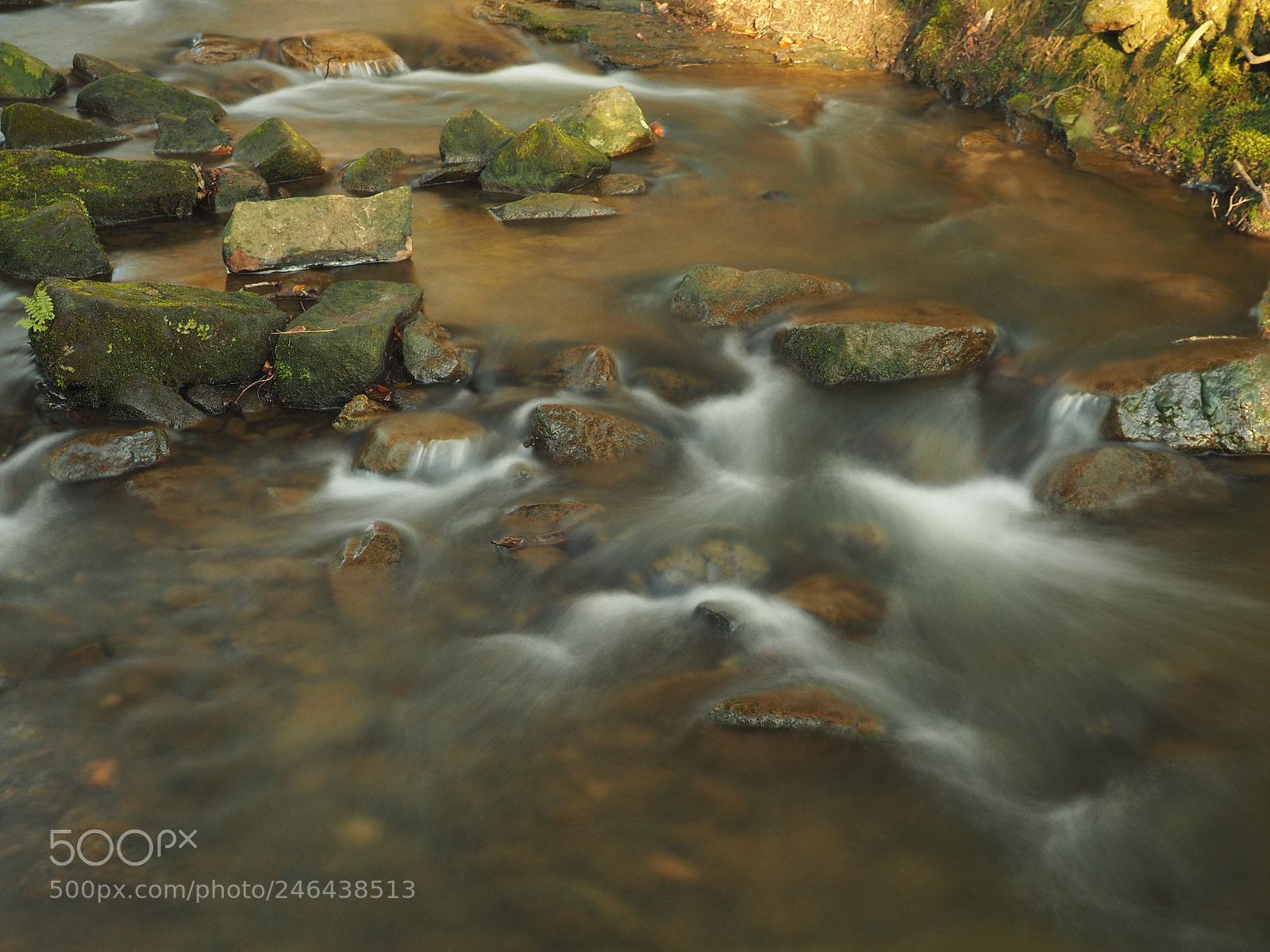 Olympus OM-D E-M10 II sample photo. Soft stream photography