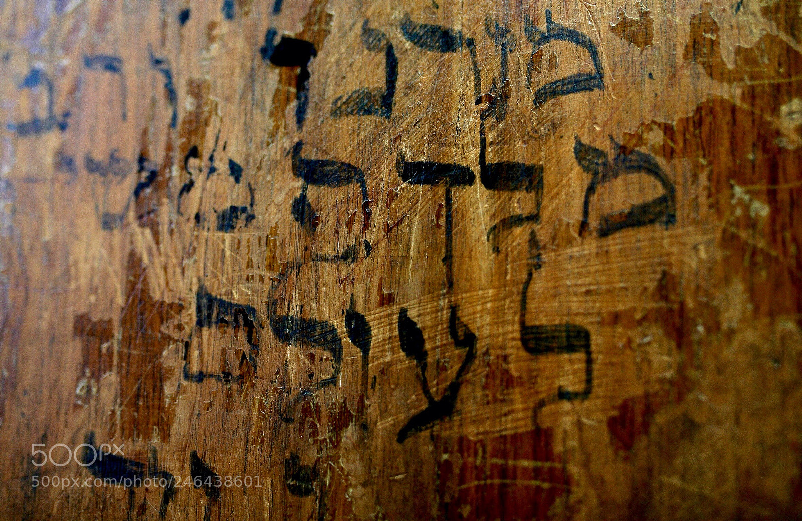 Canon EOS-1Ds Mark II sample photo. Untitled photography