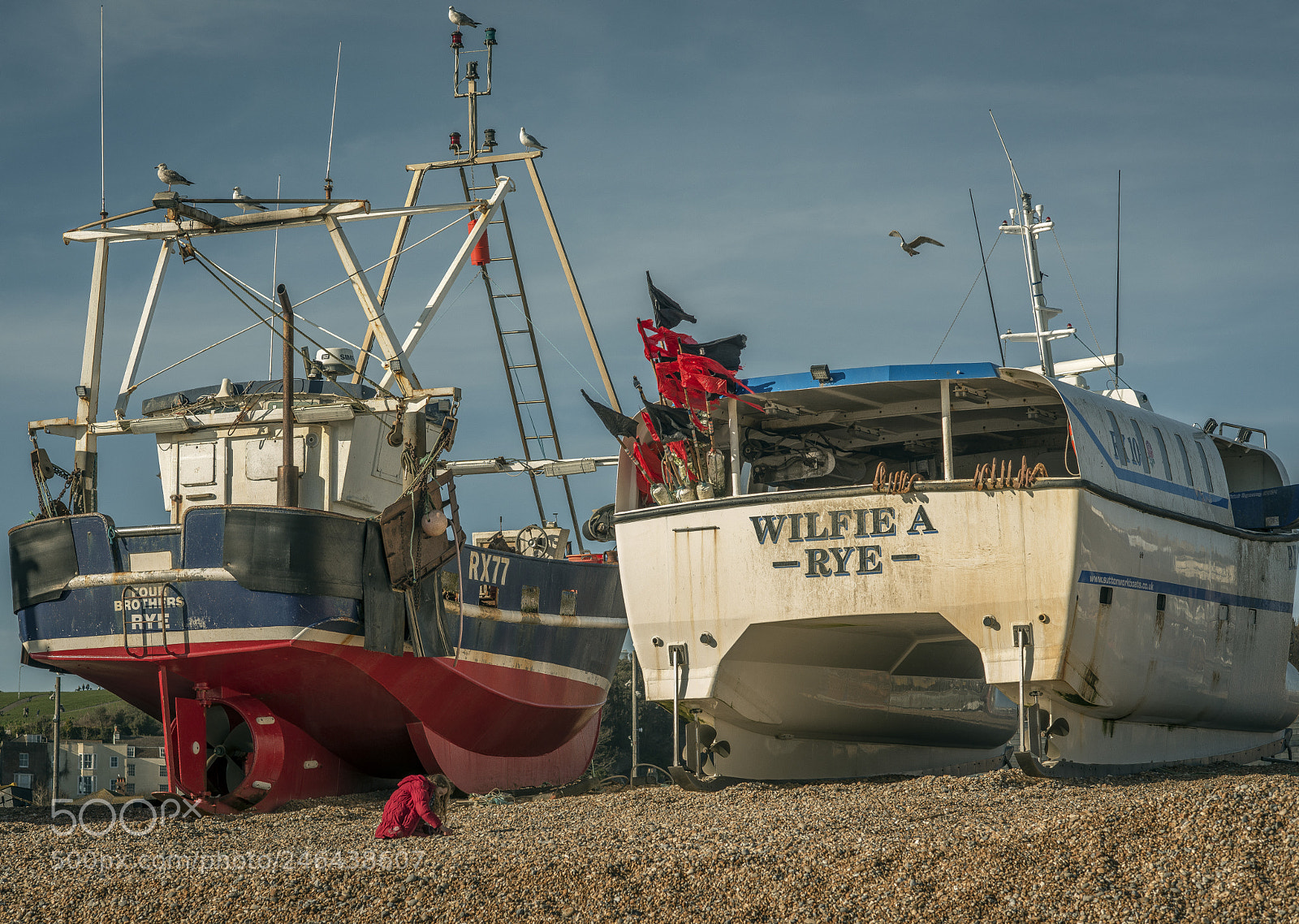 Nikon D800E sample photo. Big and small photography