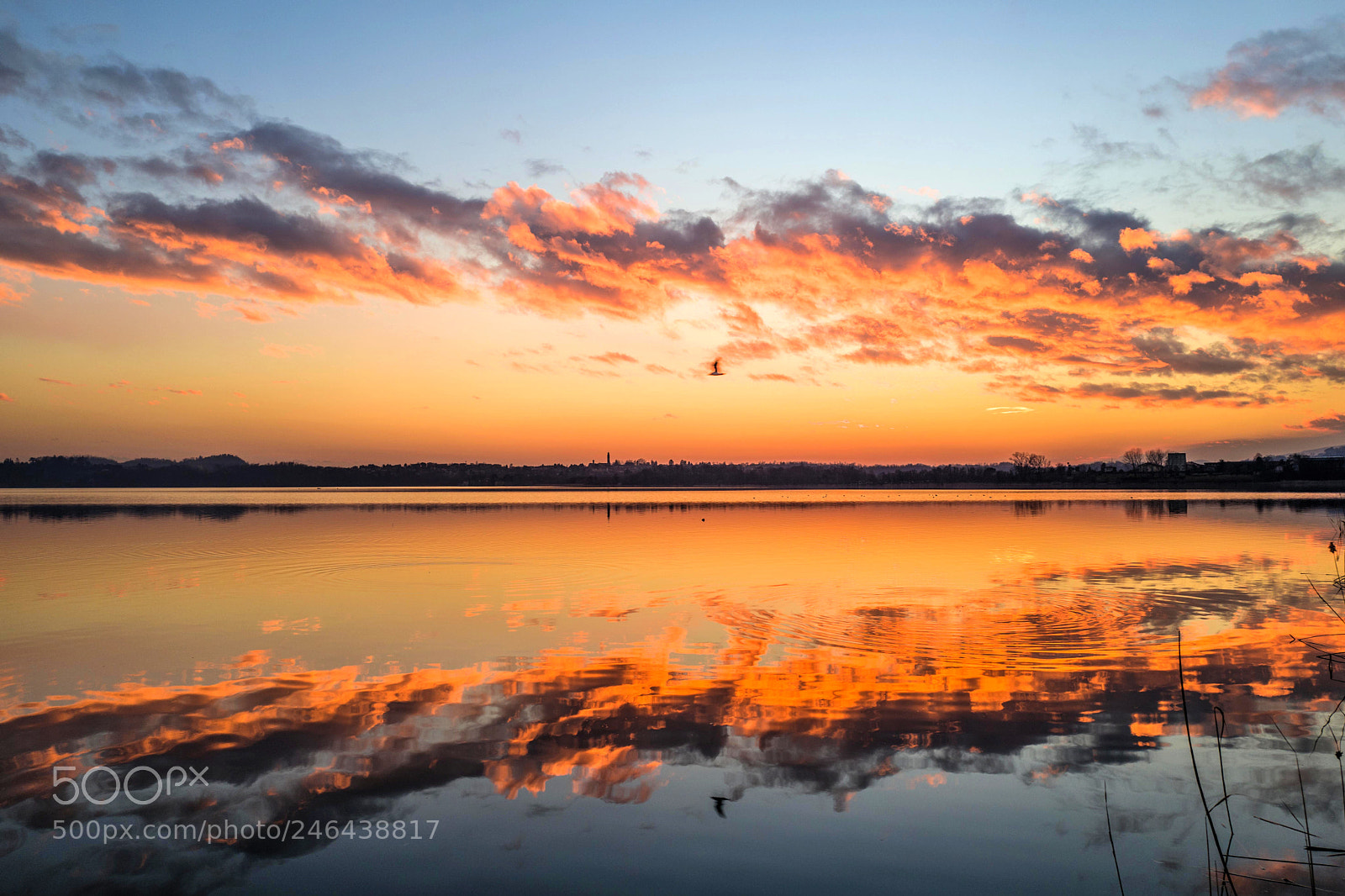 Leica Q (Typ 116) sample photo. Sunset on the lake photography