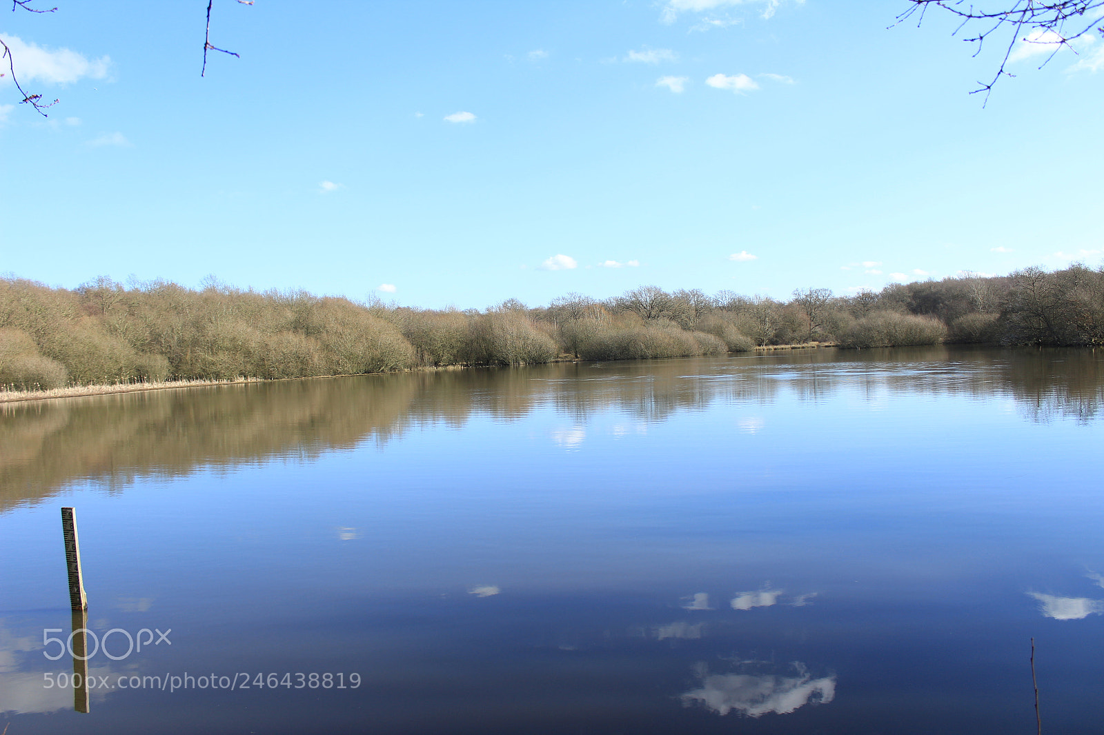 Canon EF-S 18-55mm F3.5-5.6 III sample photo. Spring photography