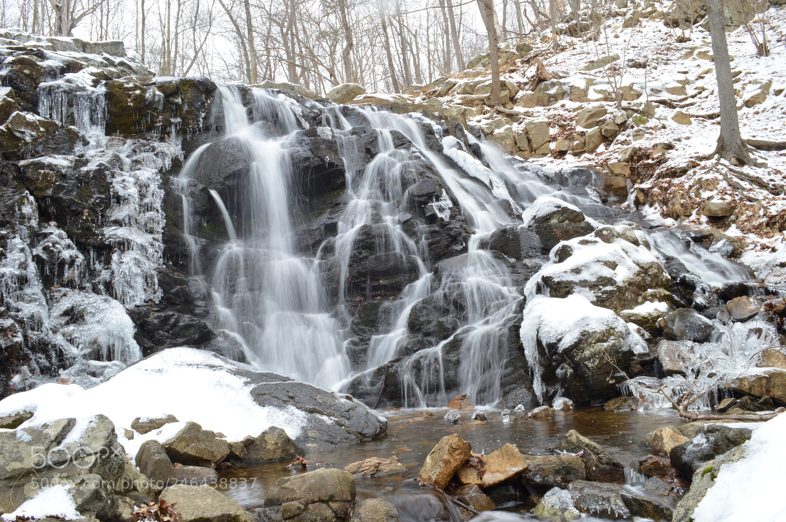 Nikon D3200 sample photo. Winter wonderland. photography