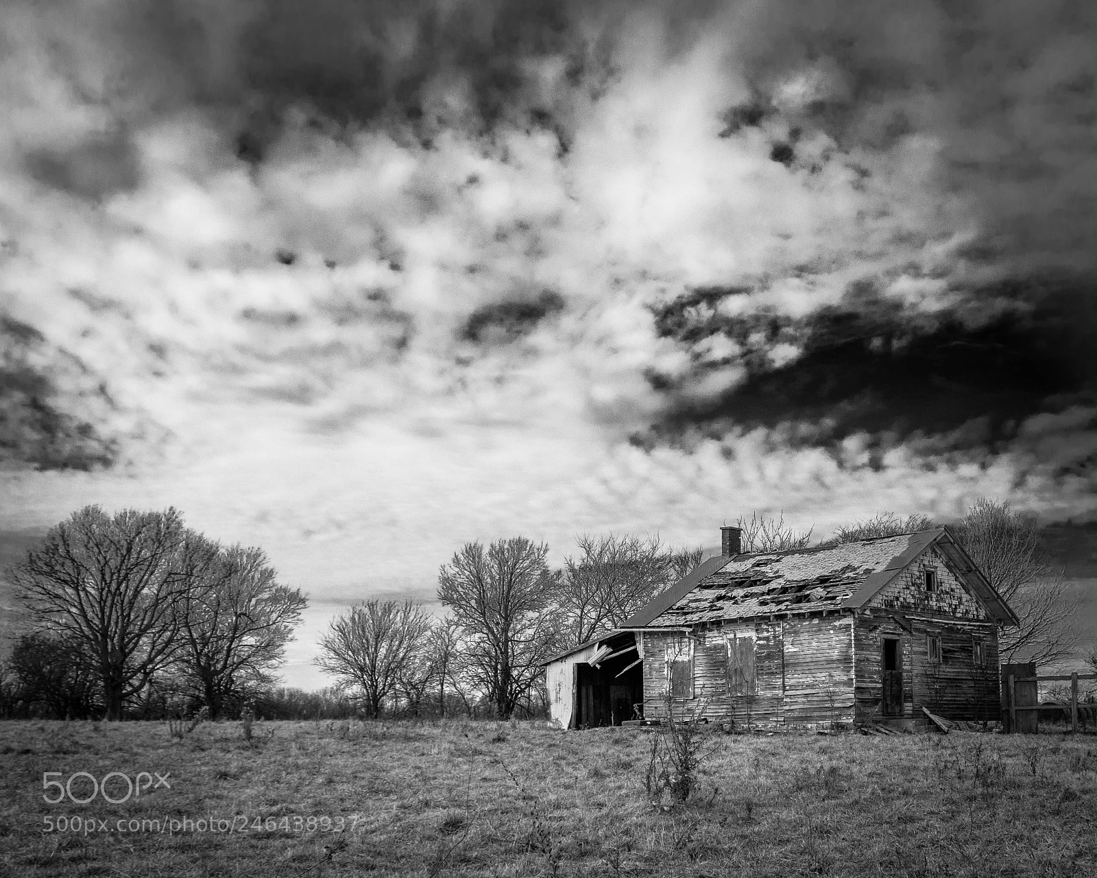 Nikon D5500 sample photo. Derelict shack photography