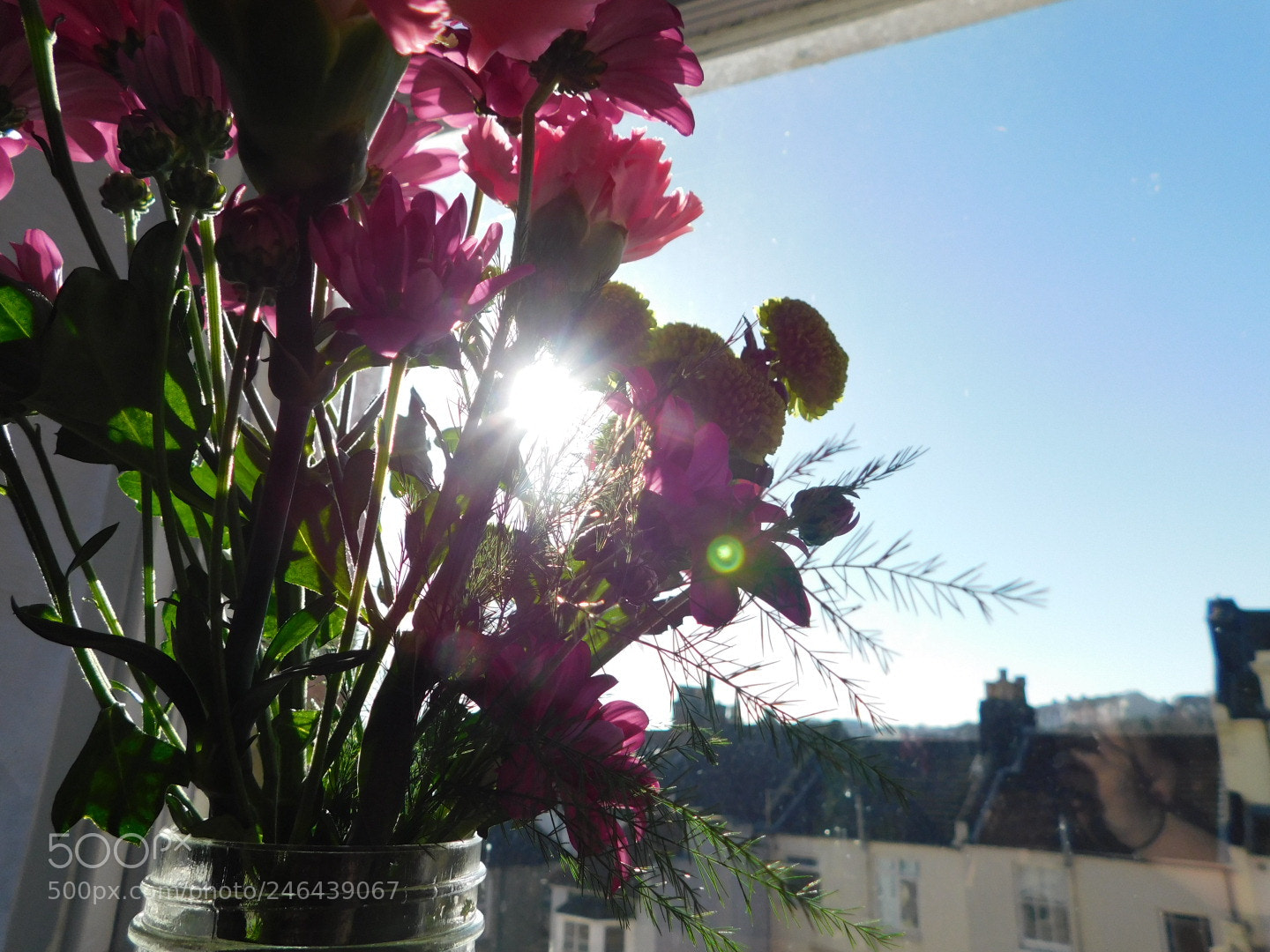 Nikon Coolpix B500 sample photo. Was nice to see photography