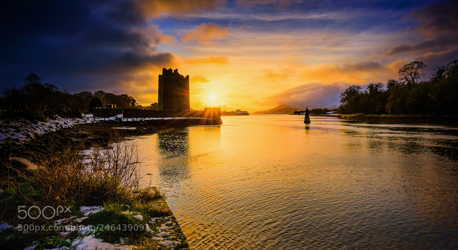 Nikon D810 sample photo. Carlingford lough photography
