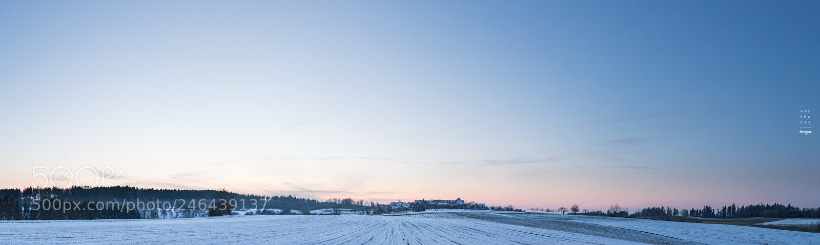 Canon EOS 6D Mark II sample photo. White field photography