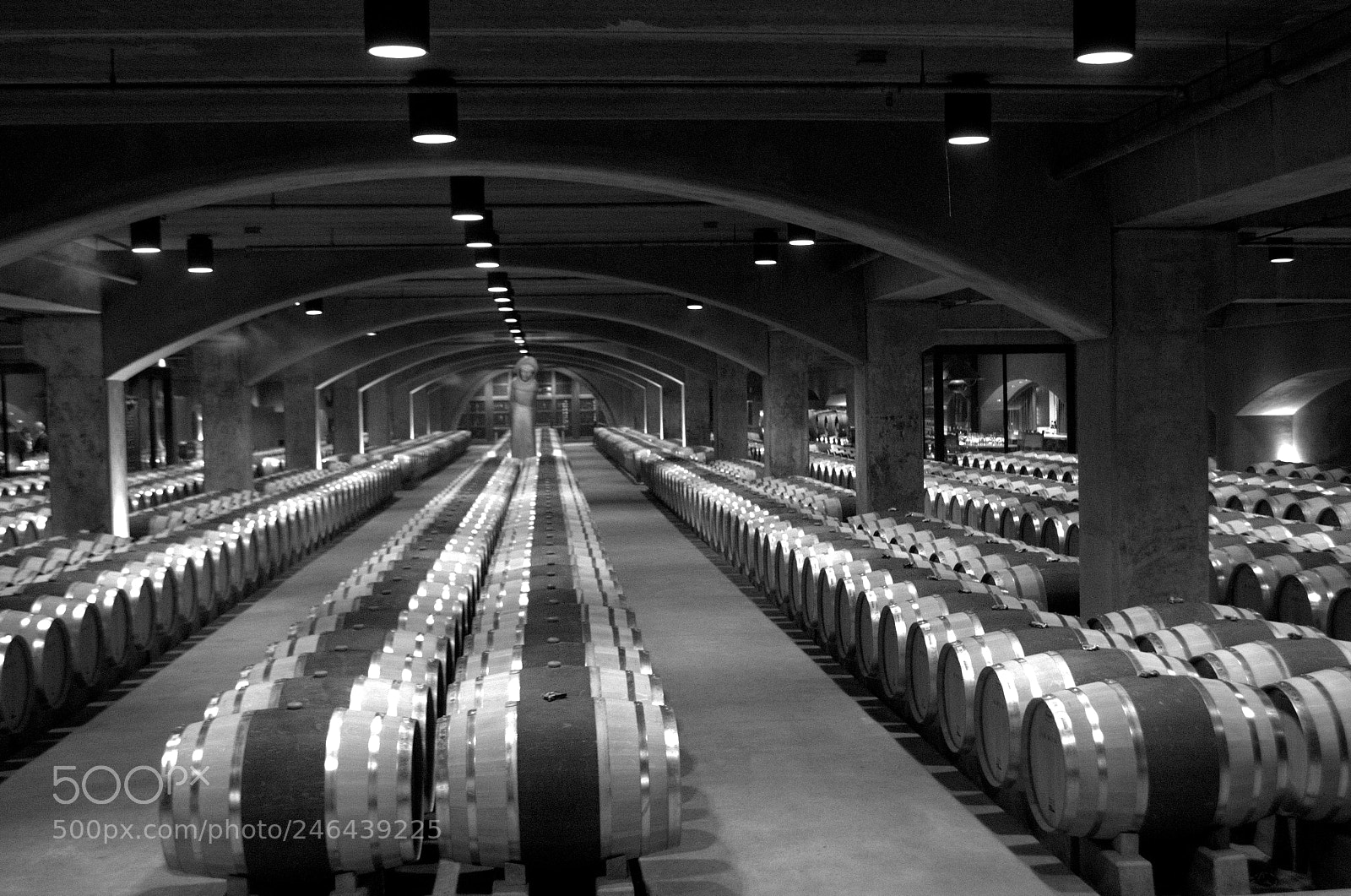 Nikon D5100 sample photo. Wine cellar photography