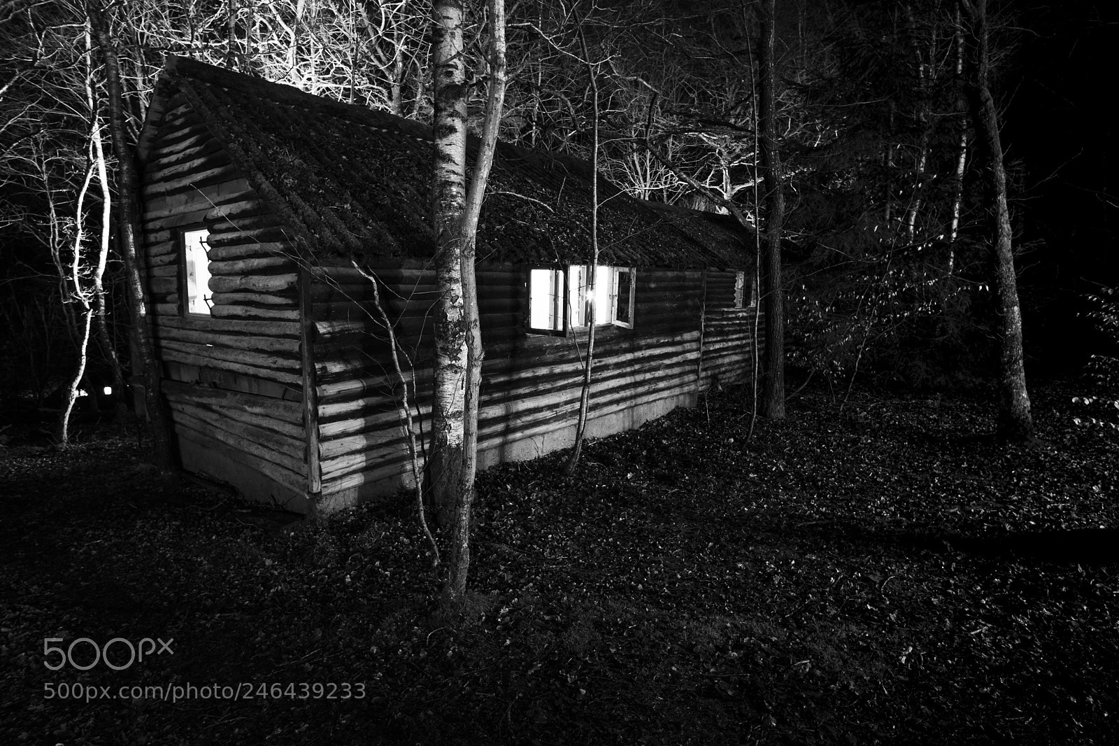 Fujifilm X-T20 sample photo. The cottage in the photography