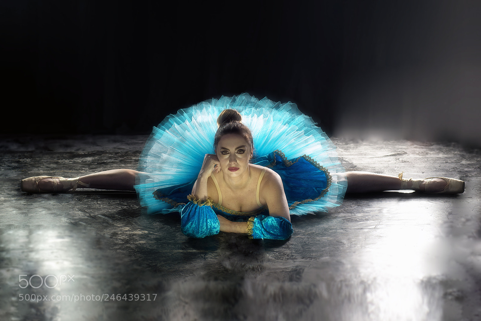 Nikon D800 sample photo. Ballerina project photography