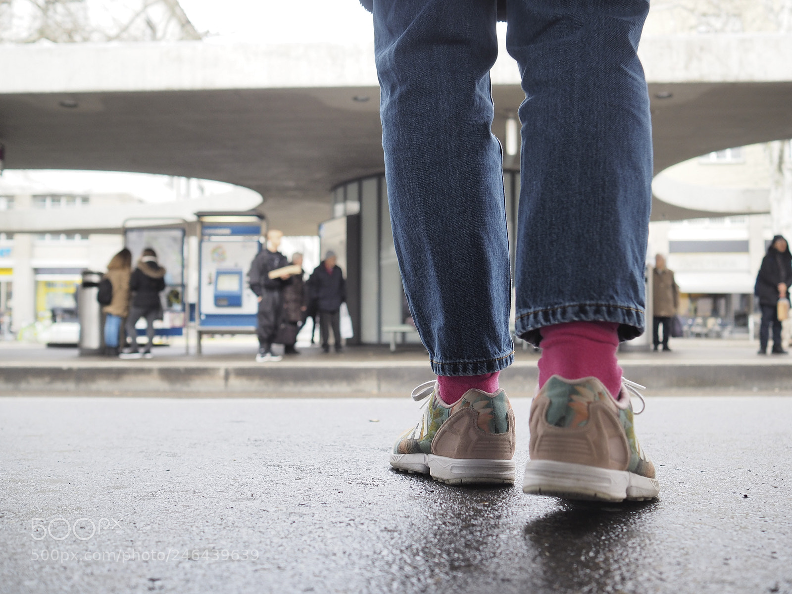 Olympus OM-D E-M1 sample photo. Pink socks photography