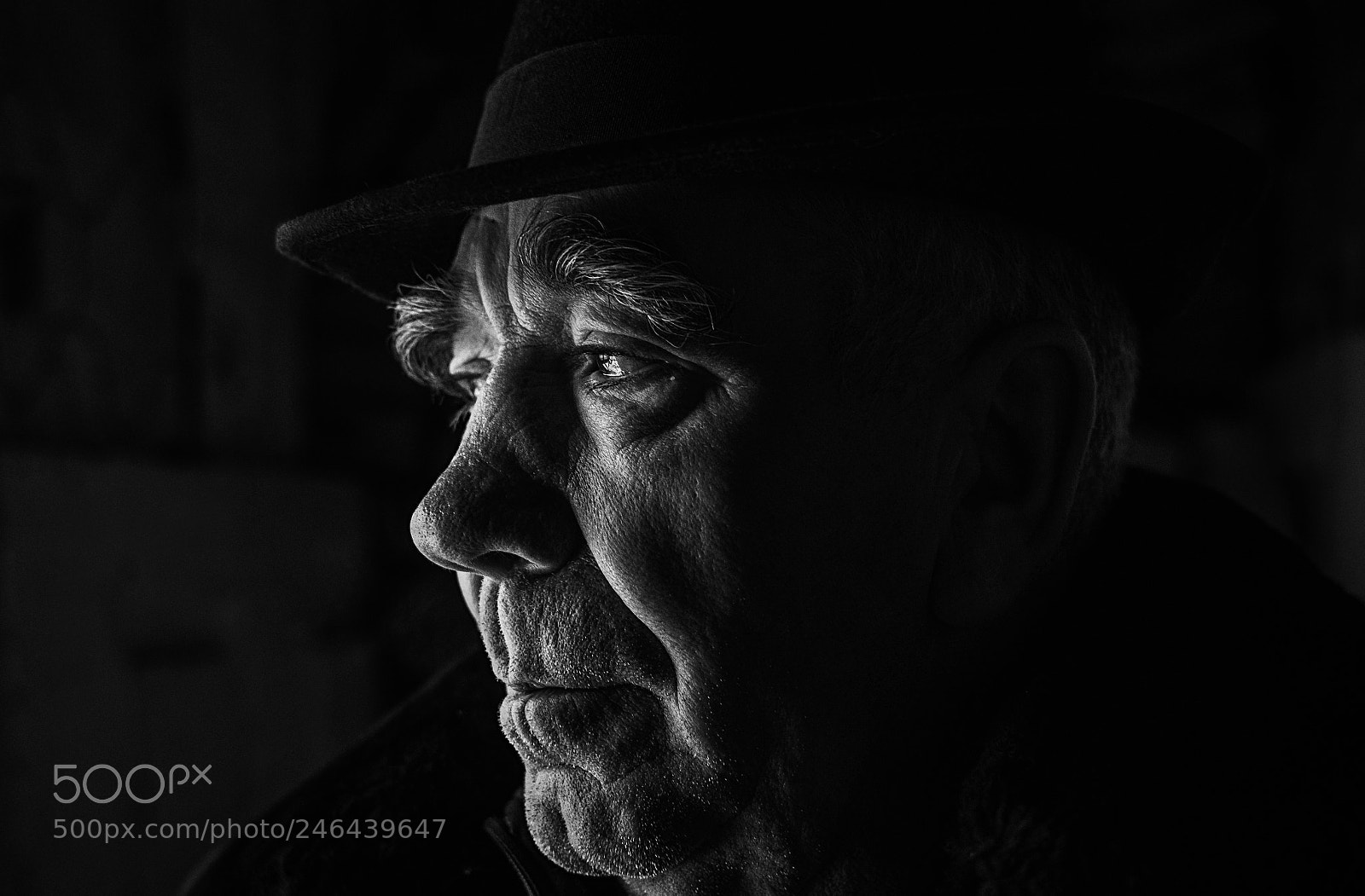 Nikon D5100 sample photo. Portrait of grandpa photography