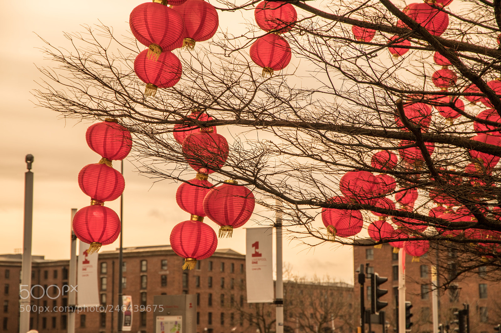 Canon EOS 6D Mark II sample photo. China town liverpool photography
