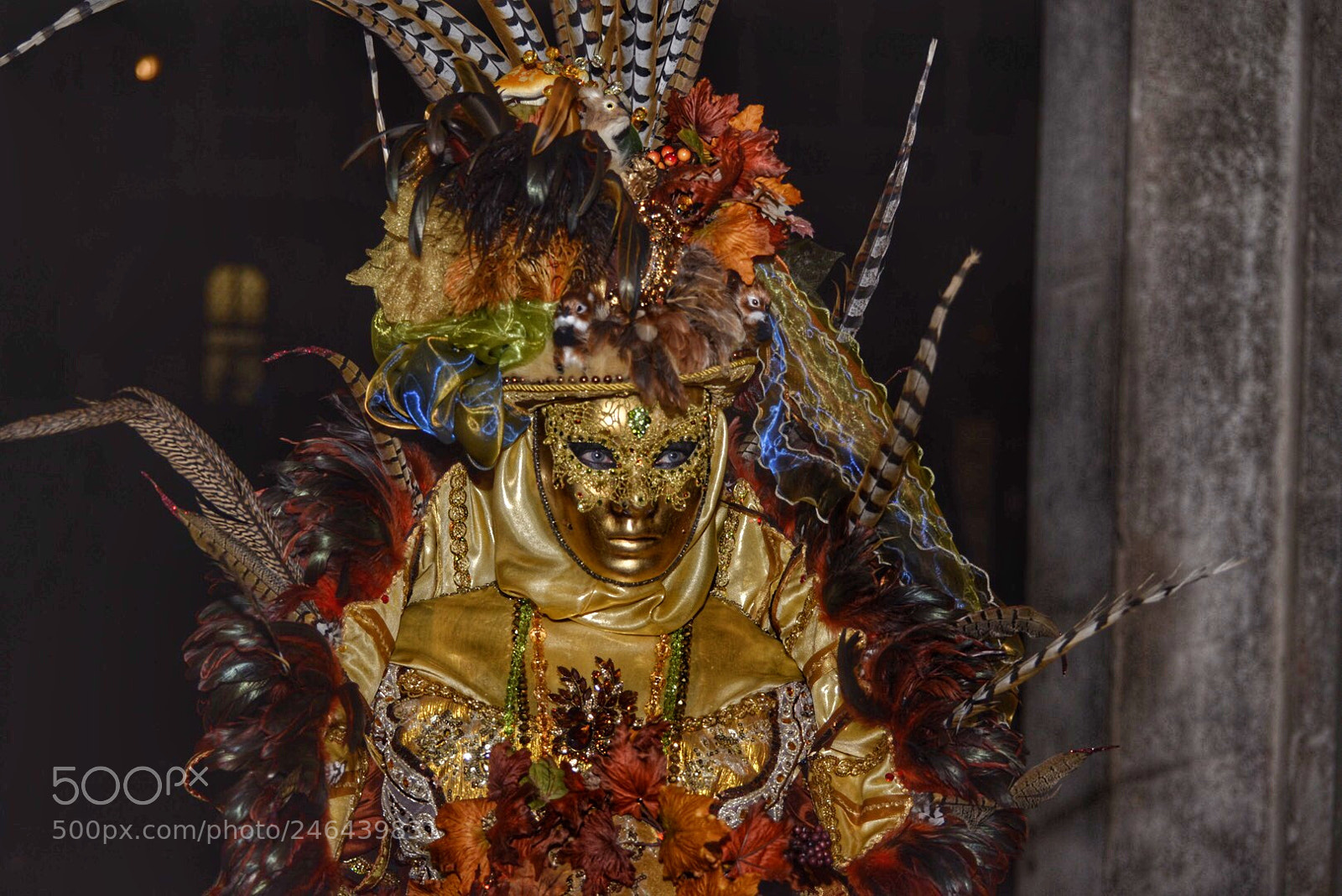 Nikon D610 sample photo. Untitled photography