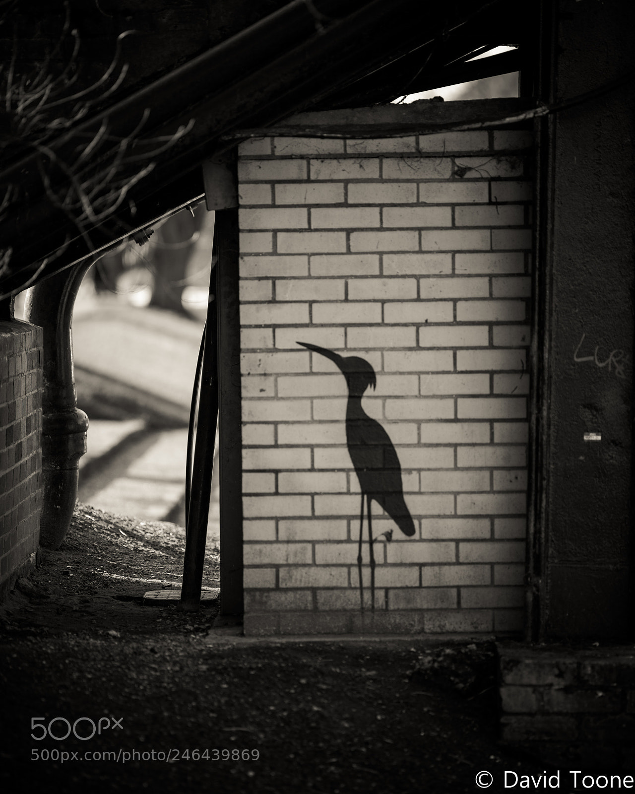 Nikon D800 sample photo. Under the bridge photography