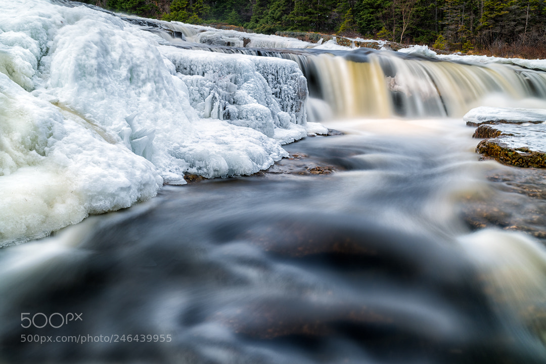 Nikon D850 sample photo. Manuels river falls photography