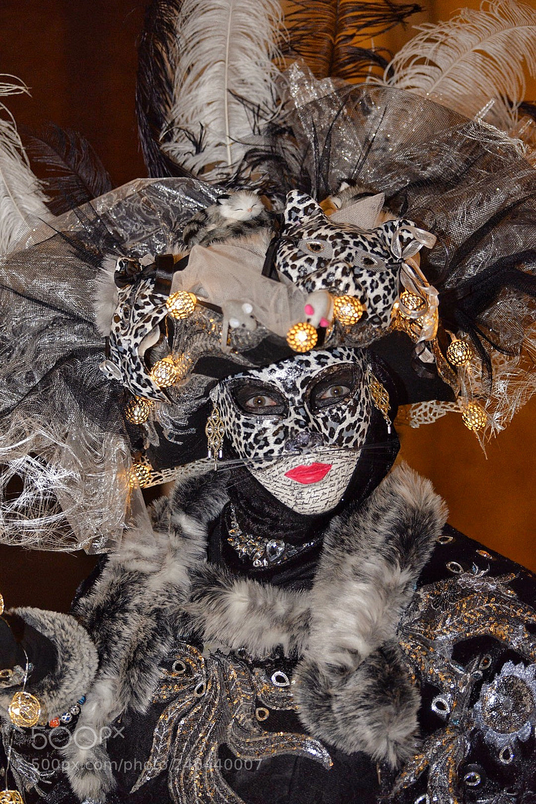 Nikon D610 sample photo. Untitled photography