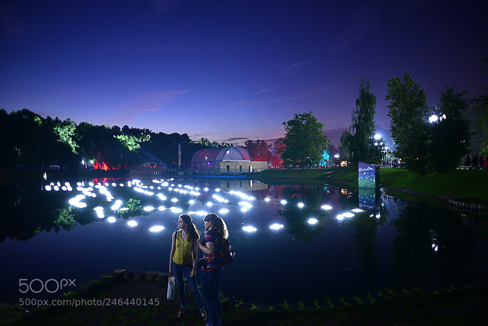 Nikon D600 sample photo. Magic forest in ostankino photography