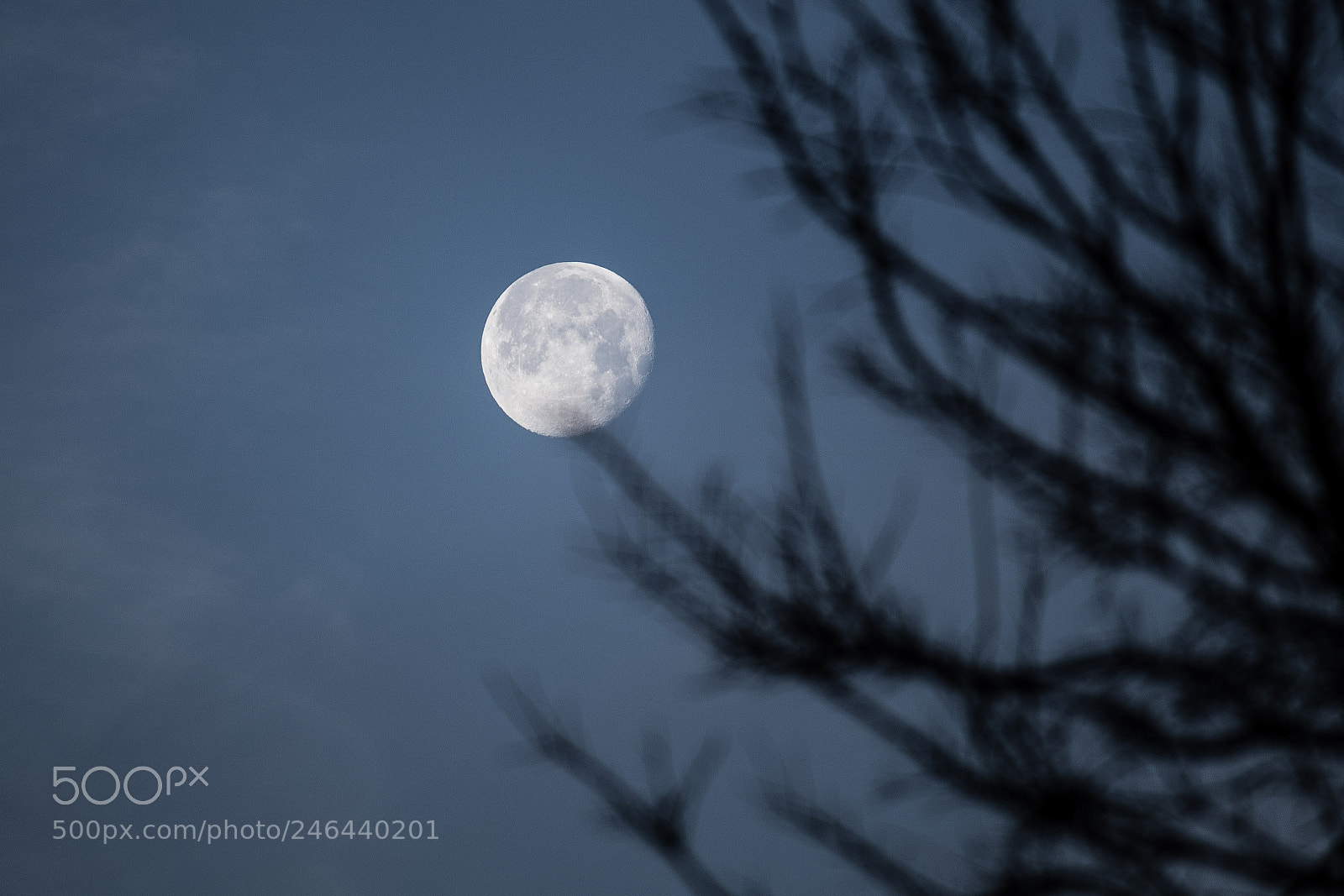 Canon EOS 7D Mark II sample photo. Moon photography