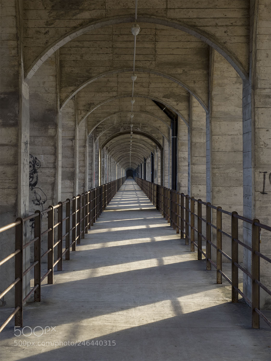 Olympus OM-D E-M1 sample photo. Bridge photography