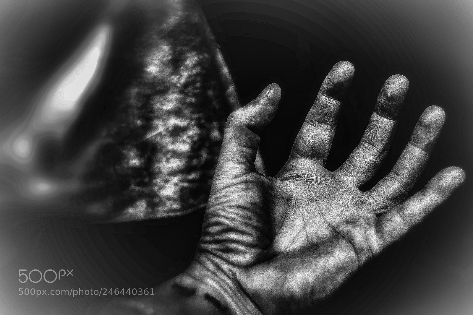 Canon EOS-1D Mark II sample photo. Hand photography
