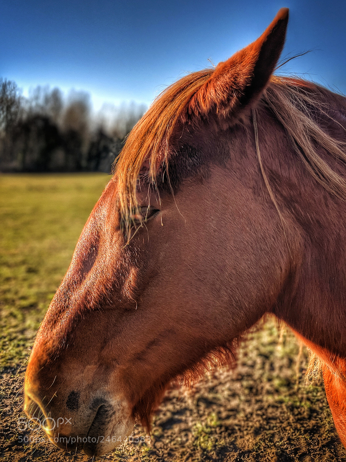 Google Pixel 2 sample photo. Untitled photography