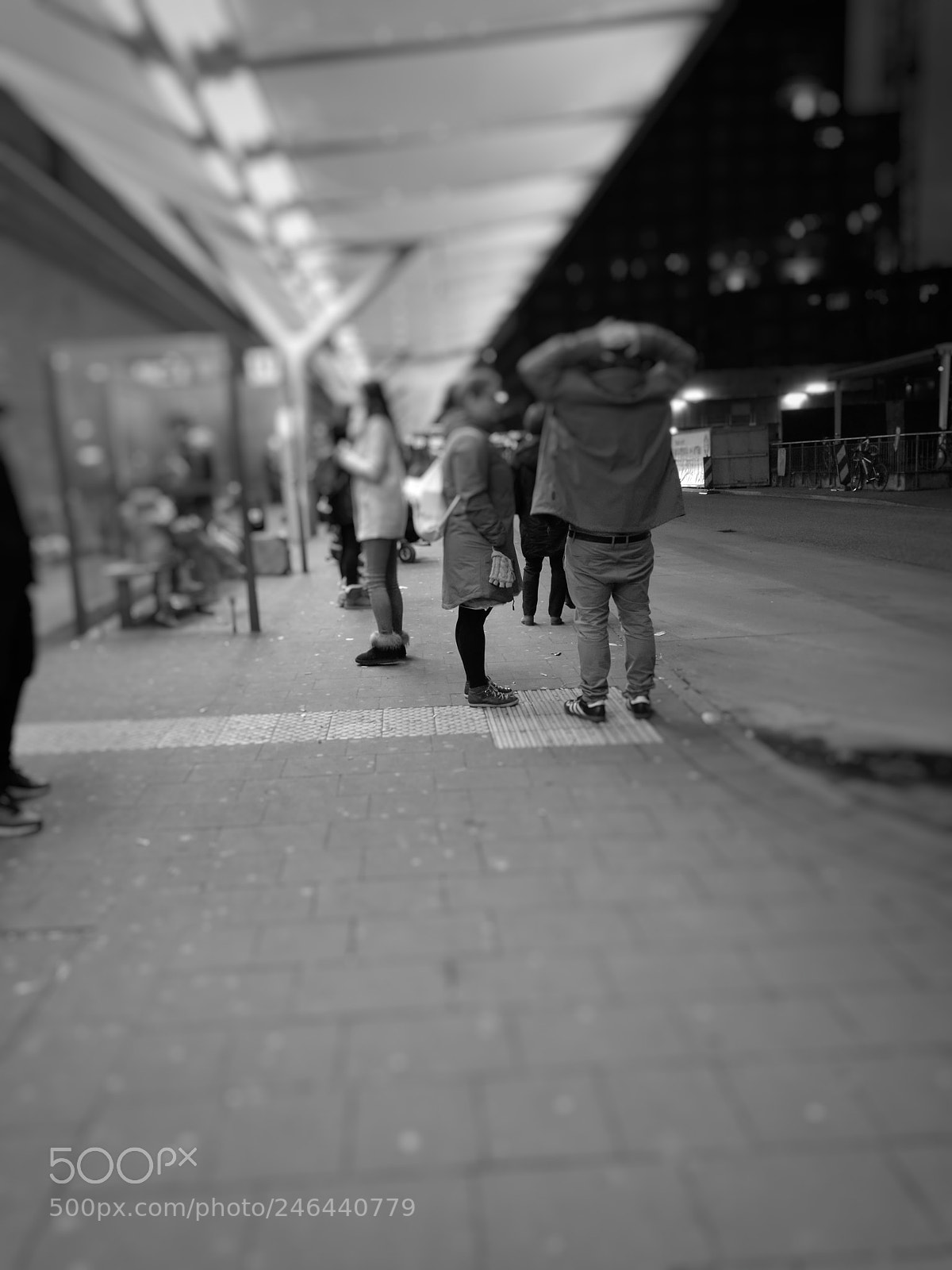 HUAWEI Honor 8 sample photo. No butt photography