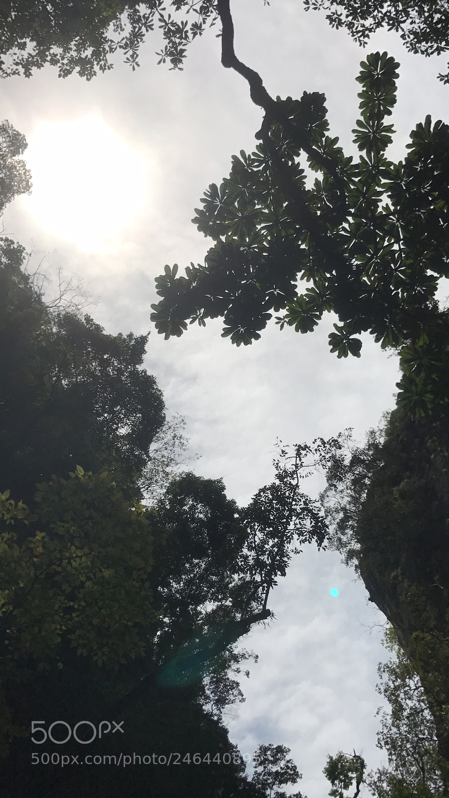 Apple iPhone 7 sample photo. ??thailand?? photography
