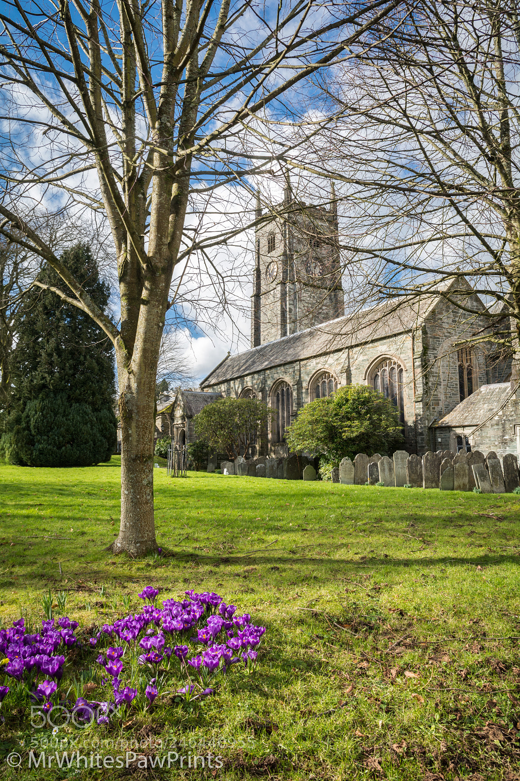 Nikon D7100 sample photo. Spring in tavistock photography