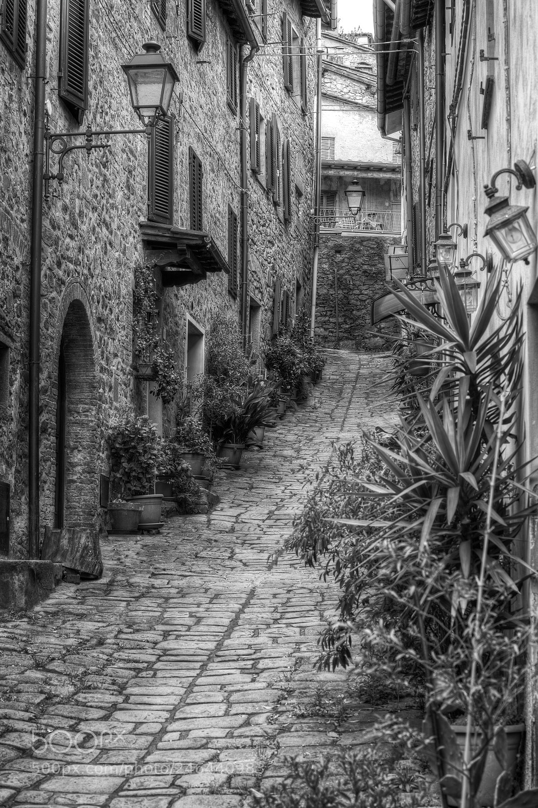 Nikon D4 sample photo. Somewhere in tuscany (collodi) photography