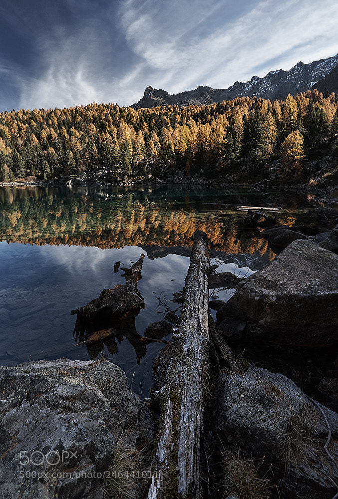 Sony a7 II sample photo. ~saoseo~ photography
