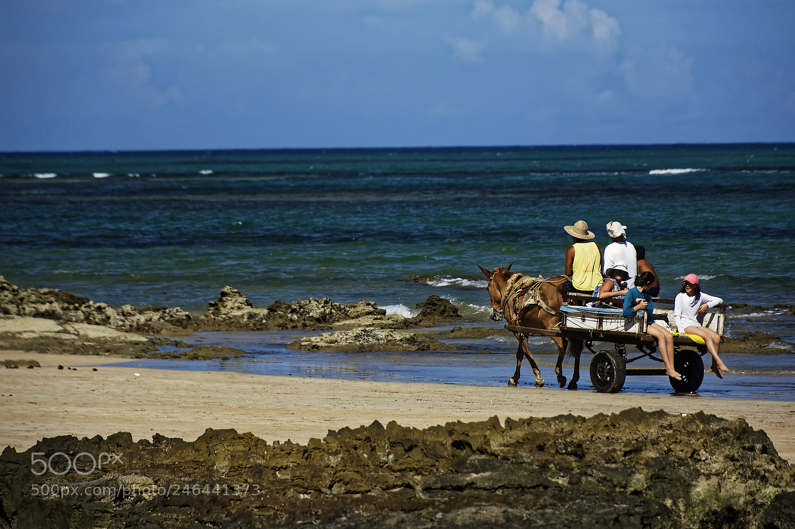 Nikon D7200 sample photo. 25401393097.jpg photography