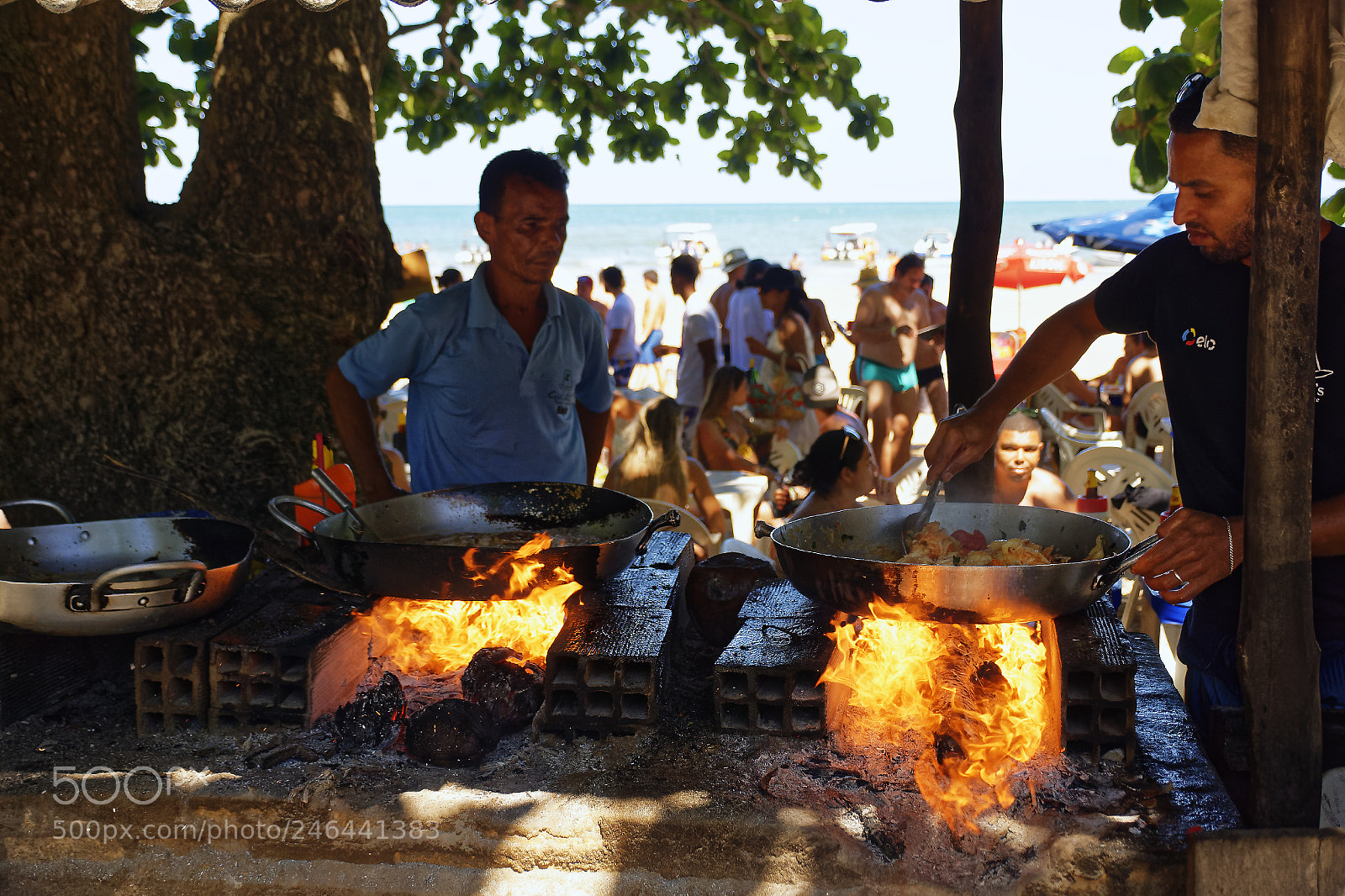 Nikon D7200 sample photo. 25272026067.jpg photography