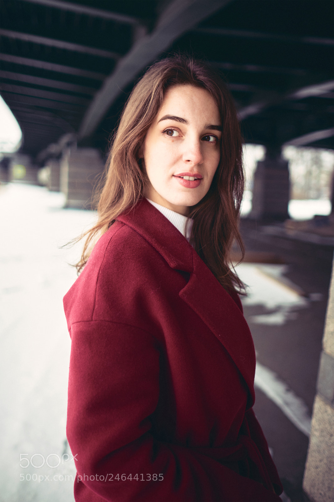 Fujifilm X-T10 sample photo. Through the cold photography