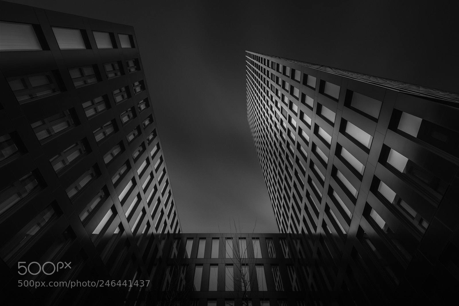 Nikon D810 sample photo. Dreamscape photography