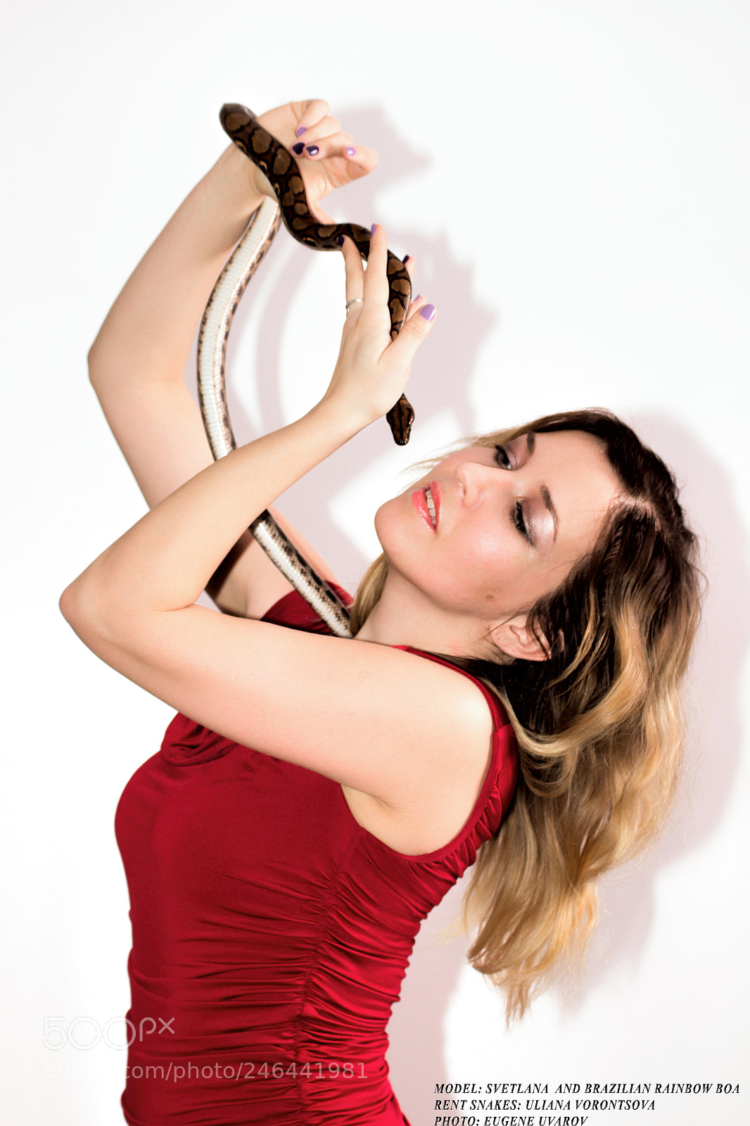 Canon EOS 650D (EOS Rebel T4i / EOS Kiss X6i) sample photo. Svetlana with a snake photography