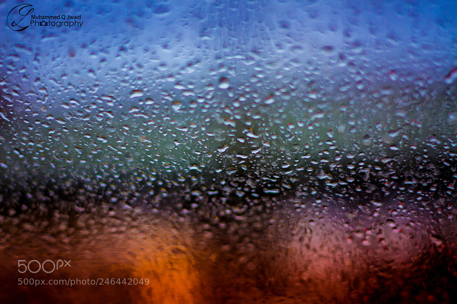 Canon EOS 7D sample photo. Under dew drops photography