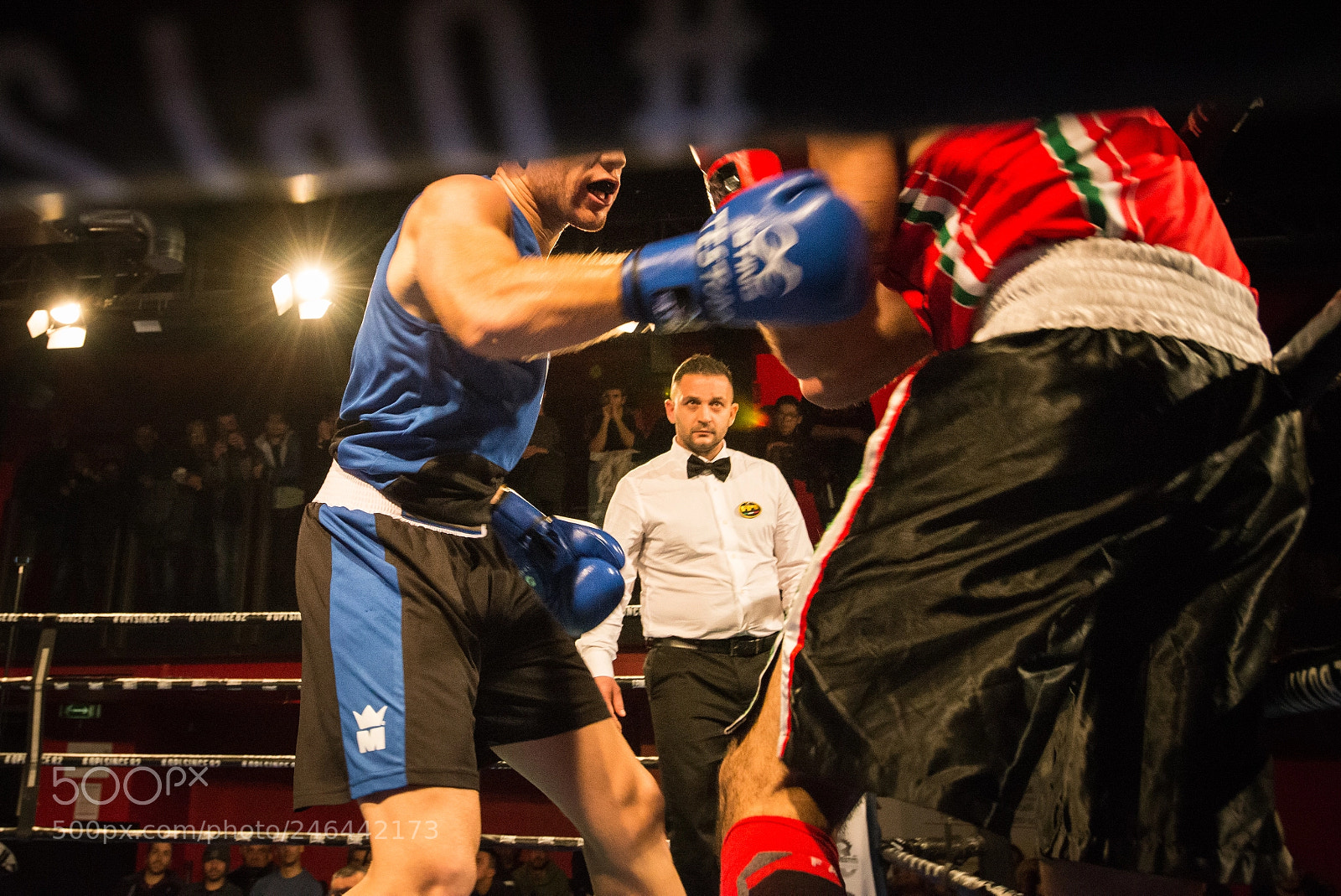 Nikon D600 sample photo. Boxer photography