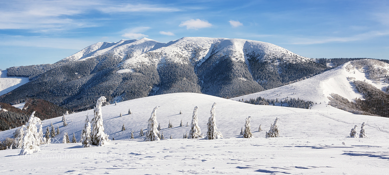 Nikon D610 sample photo. Winter it is! photography