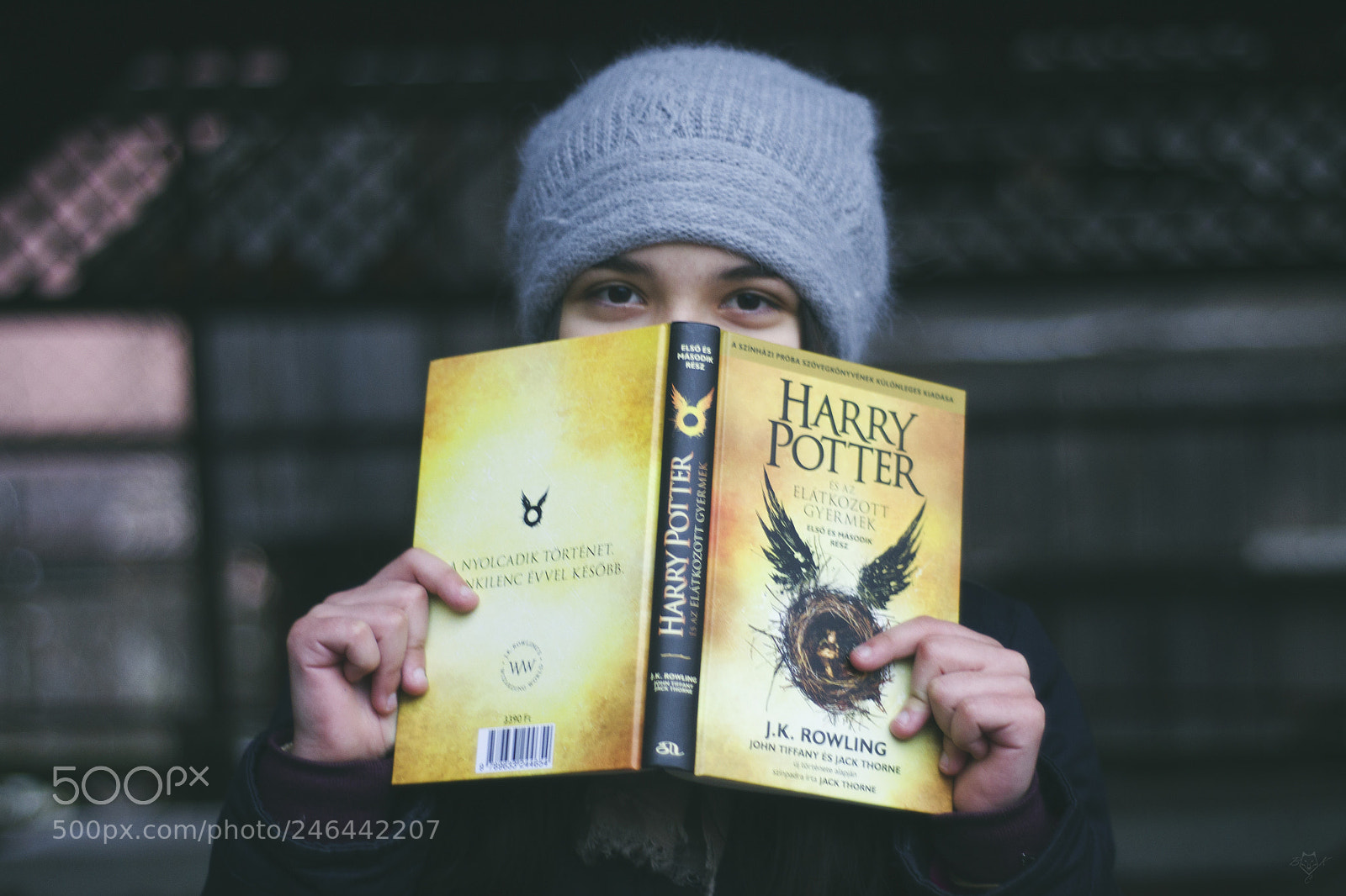 Nikon D3100 sample photo. Harry potter fan photography