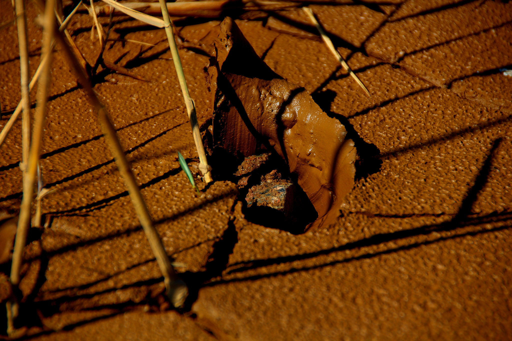 Canon EOS 650D (EOS Rebel T4i / EOS Kiss X6i) sample photo. En el barro photography