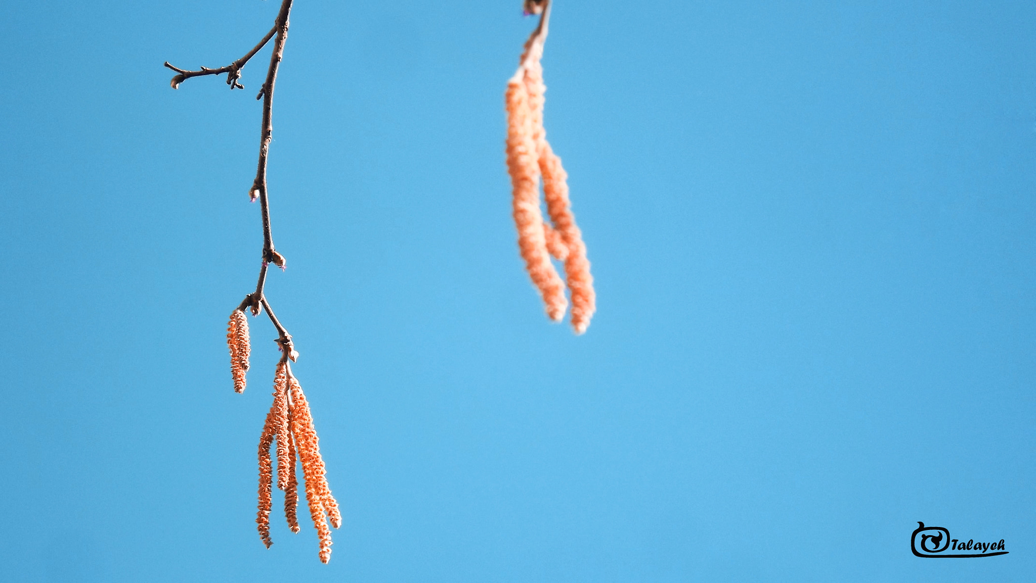 FujiFilm FinePix S4000 (FinePix S4050) sample photo. Blue sky photography