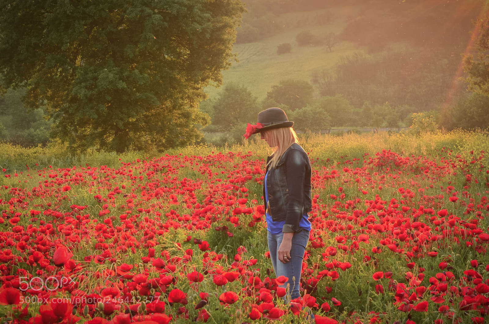 Nikon D5100 sample photo. The poppies and woman photography