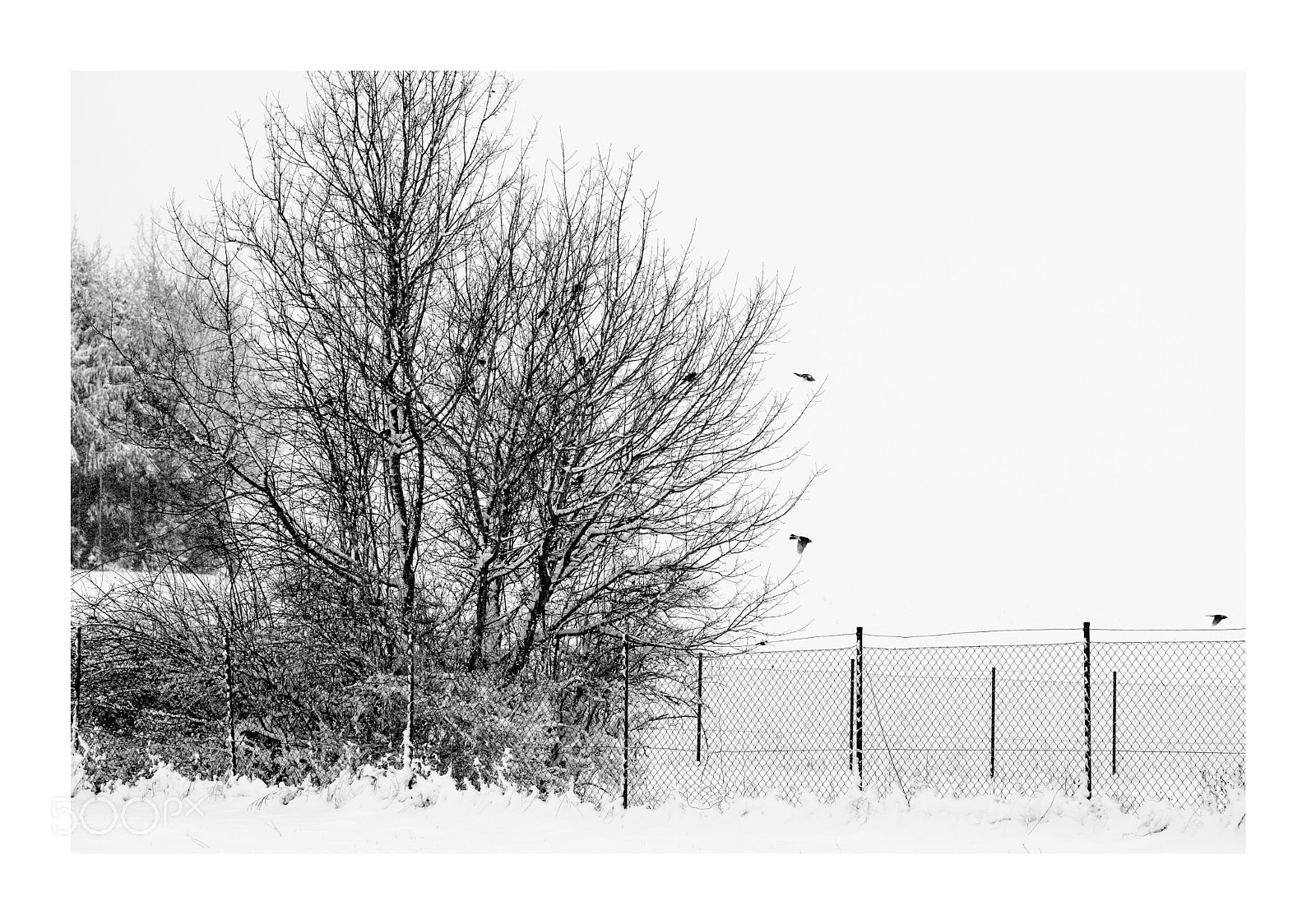 Fujifilm X-T10 sample photo. Untitled photography