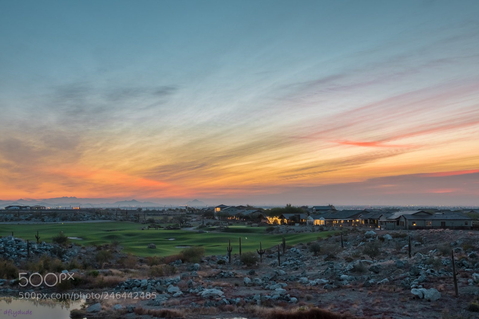Nikon D5600 sample photo. Morning at the course 1003 photography