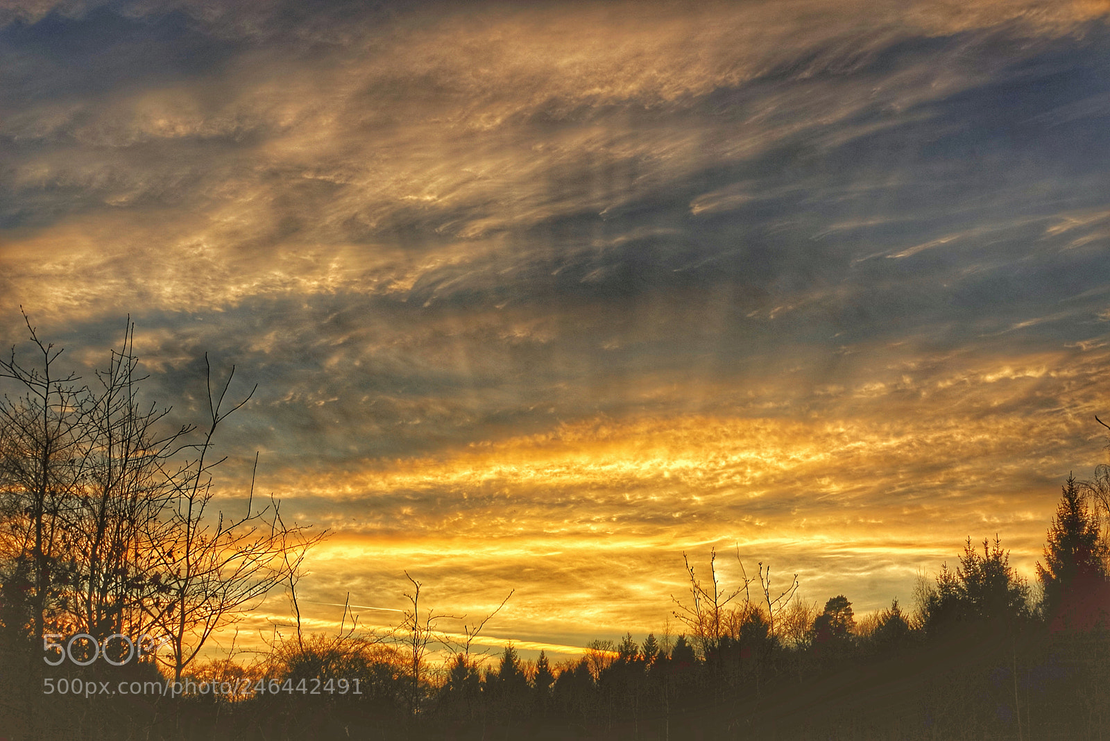 Sony a7R sample photo. Sonnenuntergang im kottenforst photography
