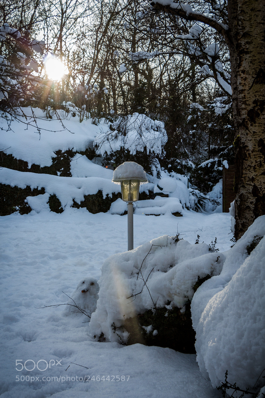 Canon EOS 650D (EOS Rebel T4i / EOS Kiss X6i) sample photo. Snow and sun photography